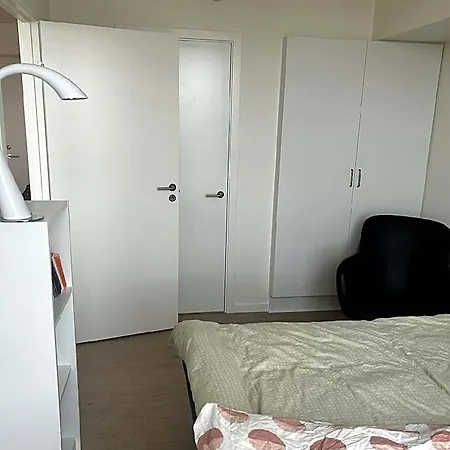 Newly Built Modern Full + Free Parking Hotel 4*